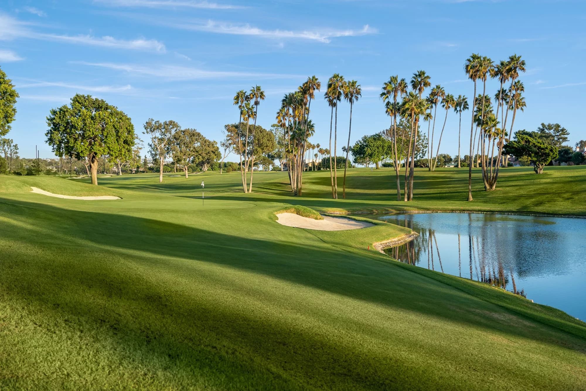 Newport Beach Country Club — palm-lined green, bunkers and water from the club’s public golf-course photograph. The source supplies no numbered-hole identification or capture date.
