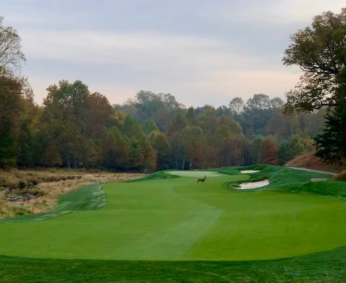 TPC Potomac at Avenel Farm — documentary venue view.